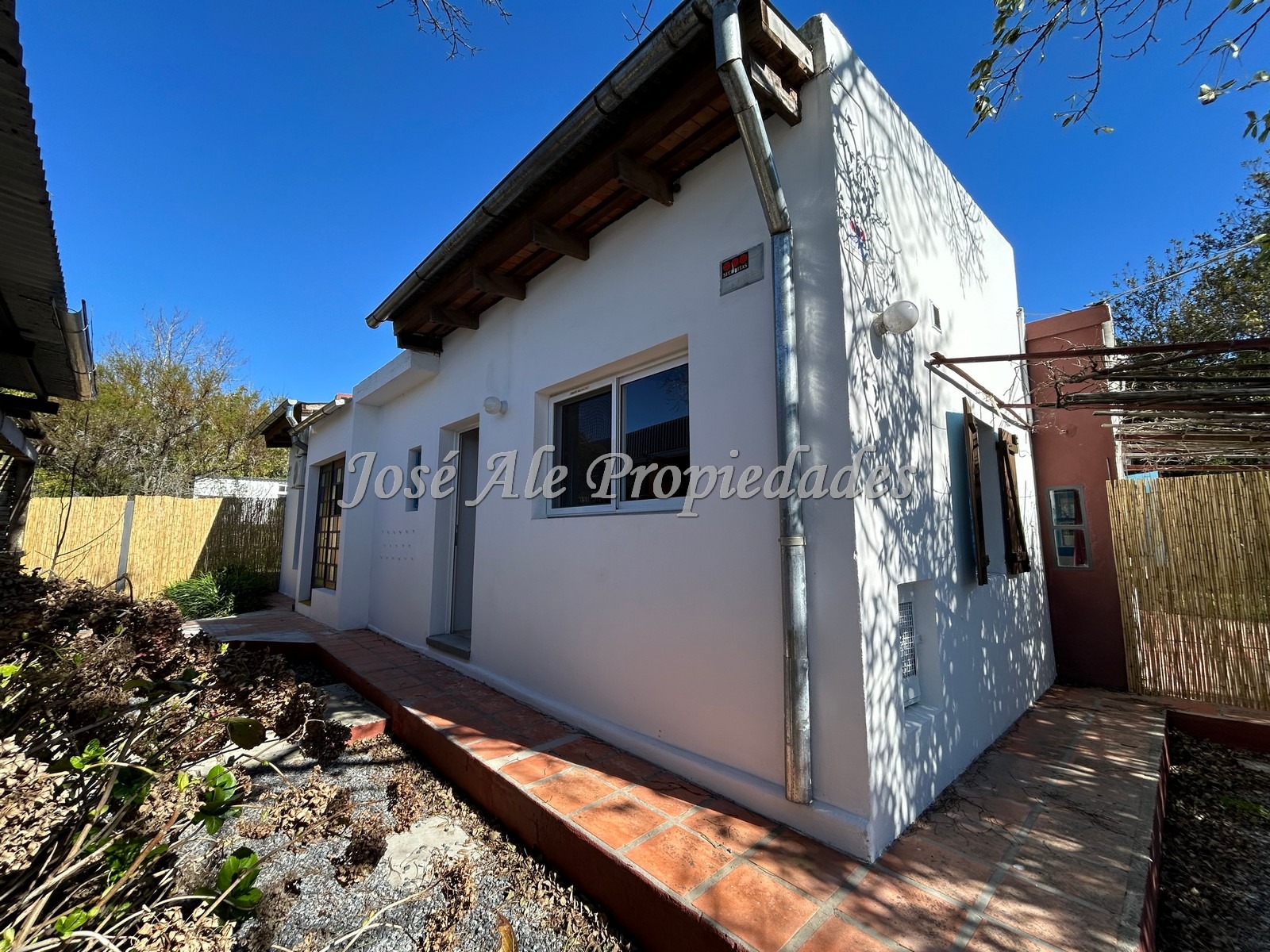 2521_WhatsApp Image 2025-08-28 at 11.20.29.jpeg